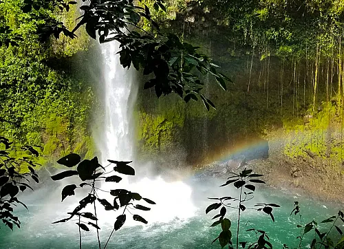 Travelers exploring the Arenal Hanging Bridges on a La Fortuna combo tour