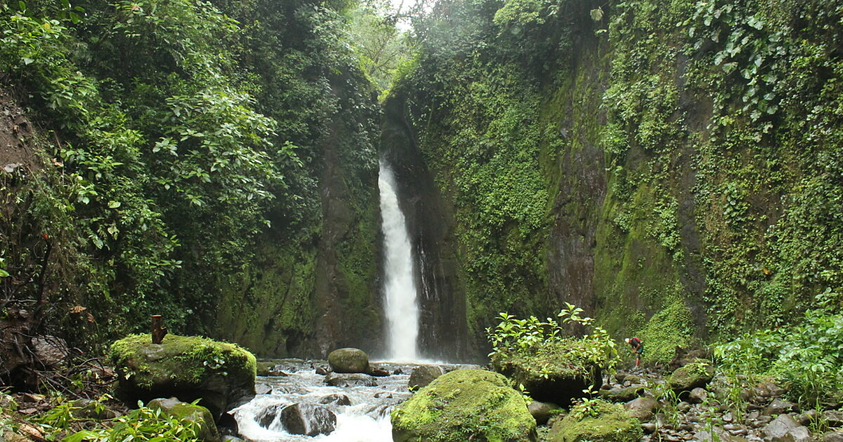 Arenal Volcano Hanging Bridges Waterfall Tour | La Fortuna