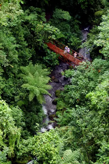 Monteverde Hanging Bridges