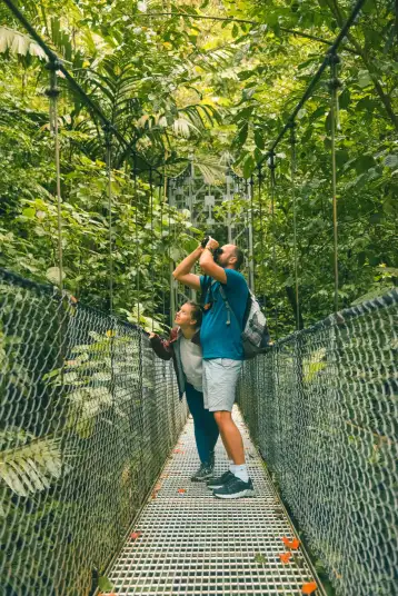 Monteverde Walking Bridge