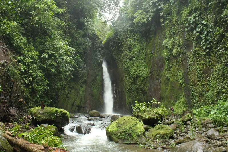 Explorando la fortuna