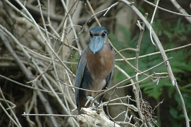 Z TODNW Cr B Dvz Mtsuvq60hfw OI Qtfq Jwr R Zd8 H1 Gc JW4