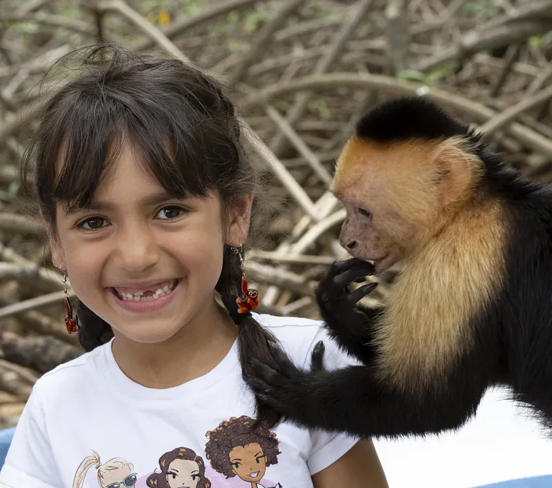 Curious capuchin monkey approaching a child on a Manuel Antonio mangrove tour