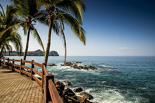 Guided tour group exploring the jungle in Manuel Antonio Costa Rica
