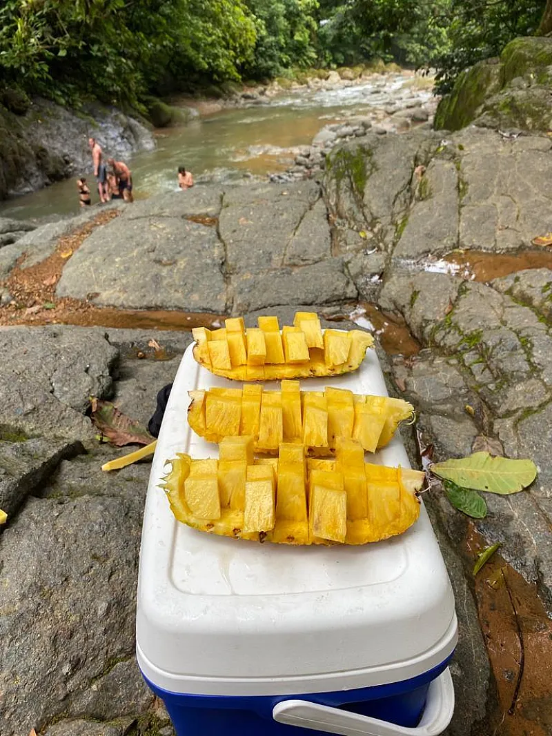 Tropical fruit snack