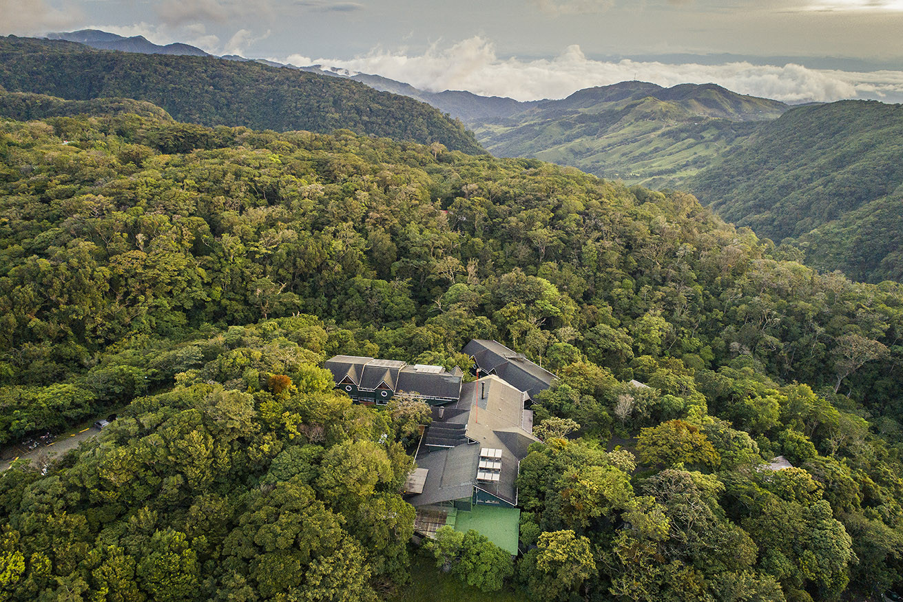 The Ultimate Guide to Coffee, Chocolate & Sugar Cane Tours in Monteverde