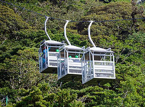 Monteverde Cloudforest
