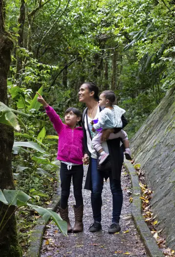 Family Monteverde Cloud Forest