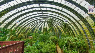 Monteverde Cloud Forest: Navigating Sustainably with Expert Guides