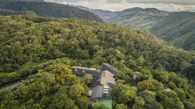 The Ultimate Guide to Coffee, Chocolate & Sugar Cane Tours in Monteverde