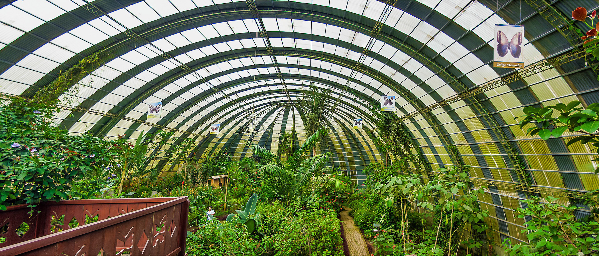 Monteverde Cloud Forest: Navigating Sustainably with Expert Guides