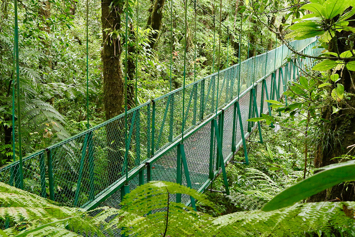 Forest, Water, and Struggle: Environmental Movements in Costa Rica