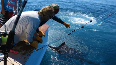 Reporte de Pesca de Costa Rica Marzo 2022