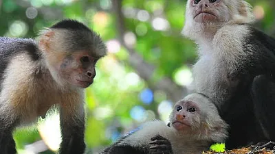 14 Things We Love About Costa Rica