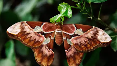 The Ultimate Monteverde Packing List: What to Bring