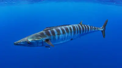 July 15, 2024 Fishing Report