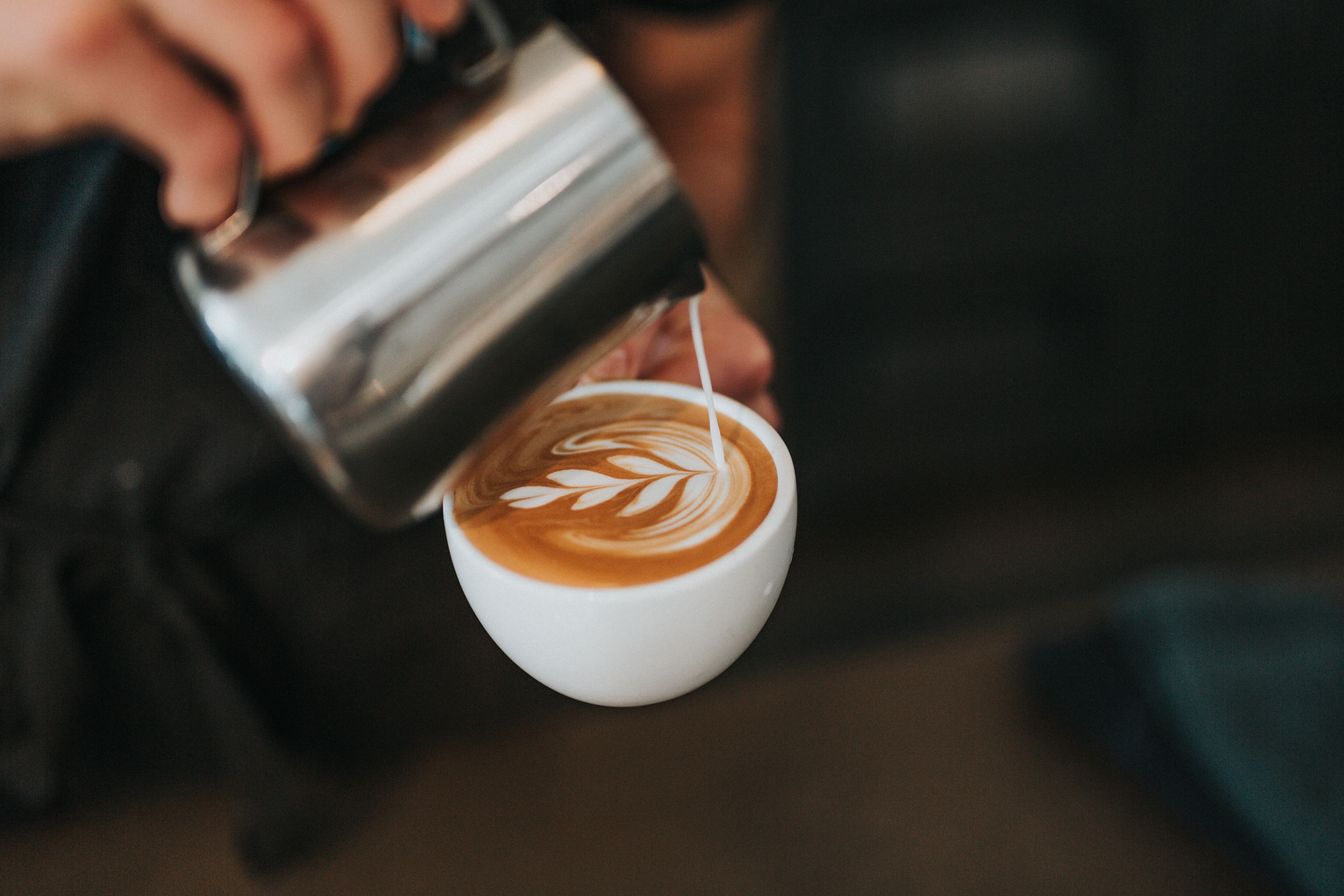 Monteverde Coffee tour