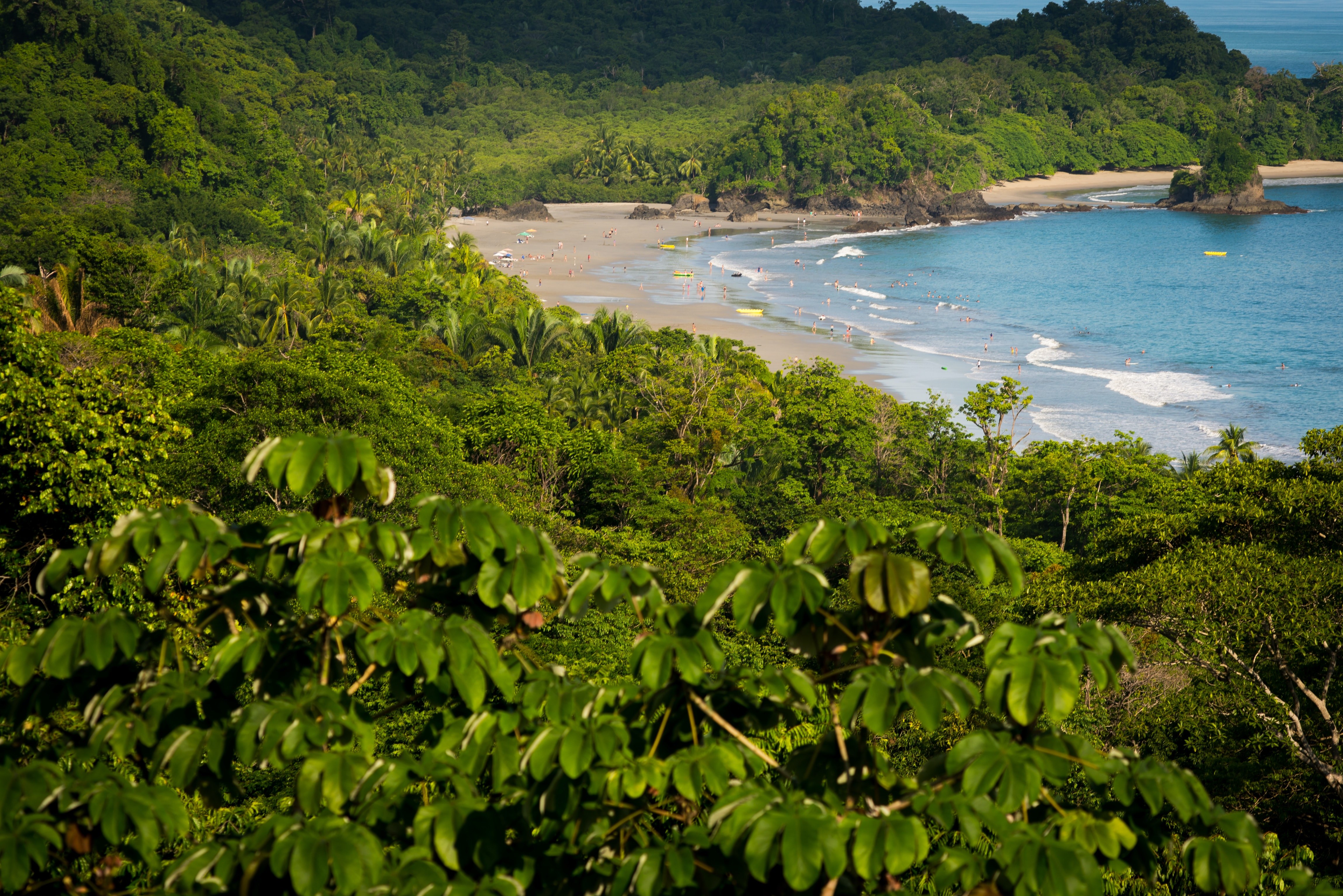 Manuel antonio park