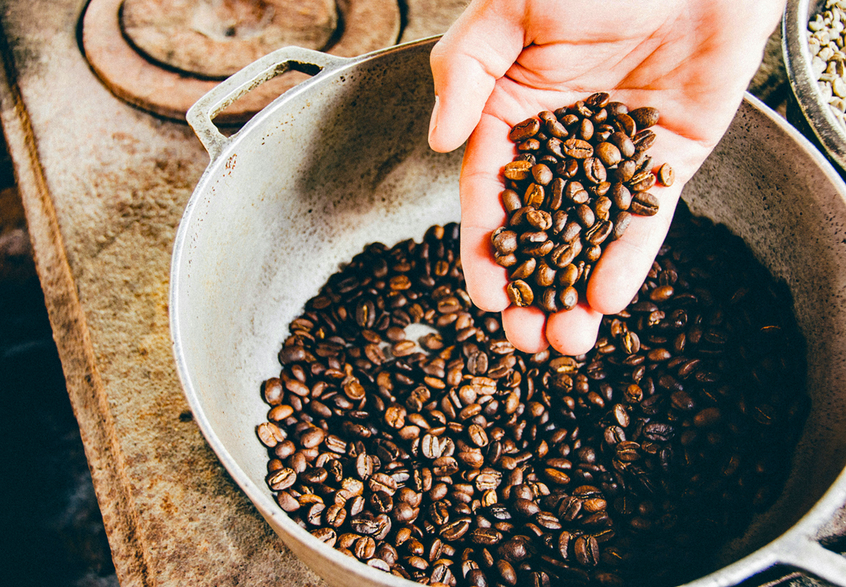 Monteverde Coffee